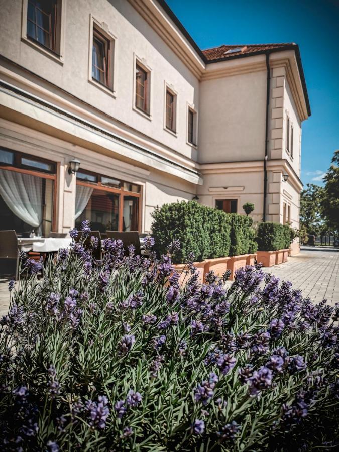 Restaurant Pansion Wien Cierny Brod Eksteriør bilde
